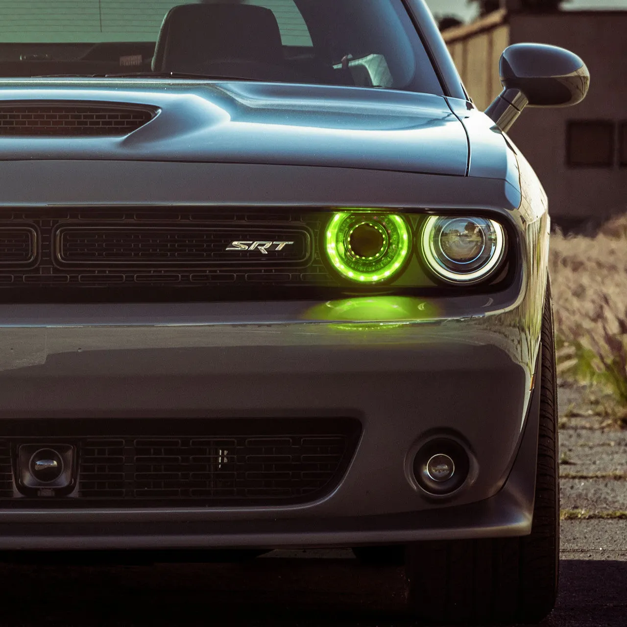 Dodge Challenger 08-23 AURA PRO Bluetooth DRL Halo RGB - Install Friendly